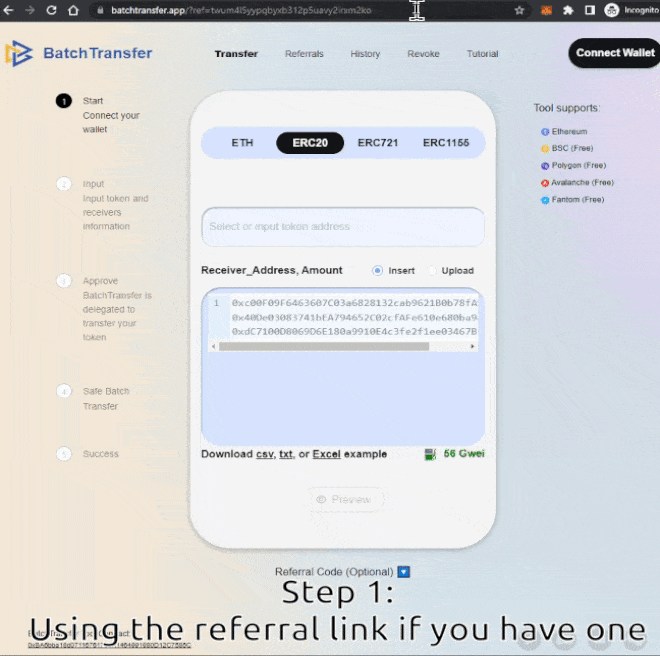 Input token and receivers information.